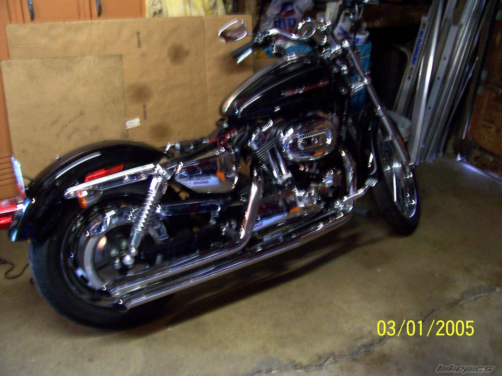 Photo 304342