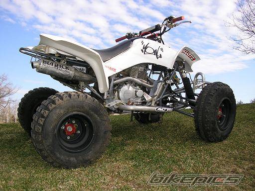 Bike Photo 304344