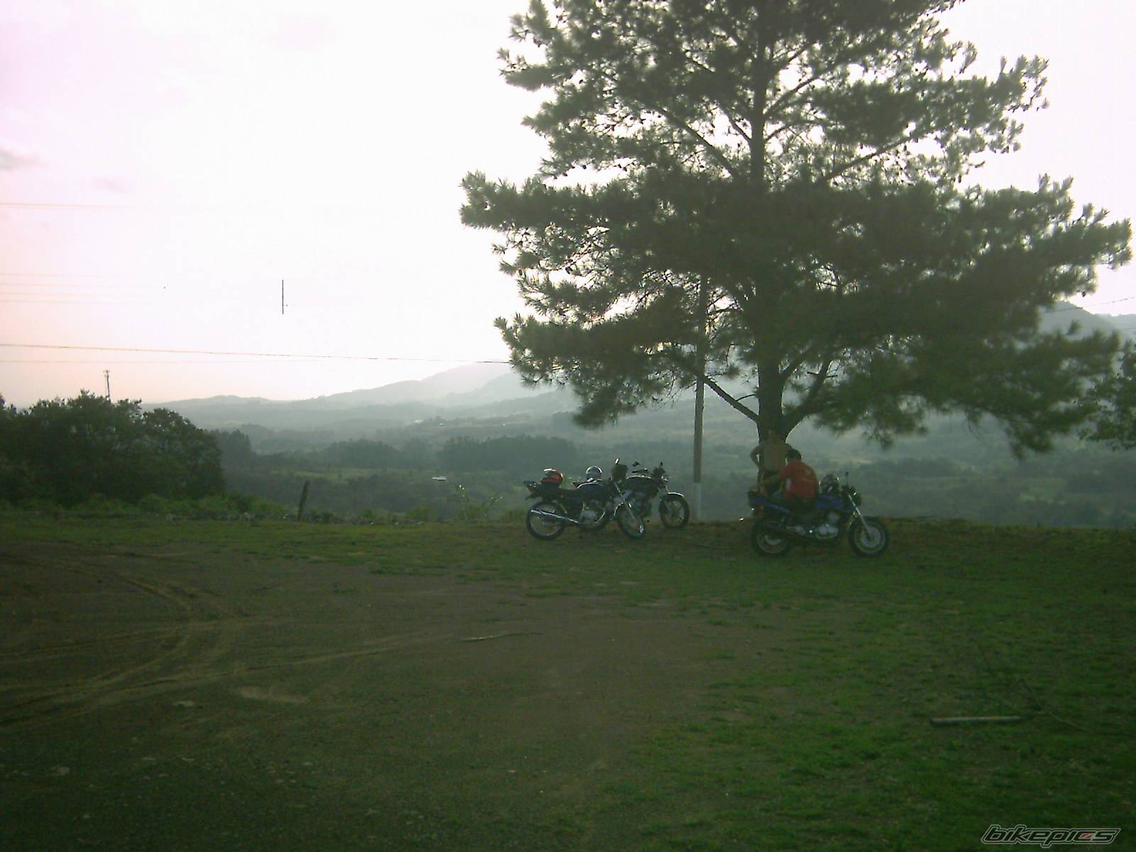 Bike Photo 304403
