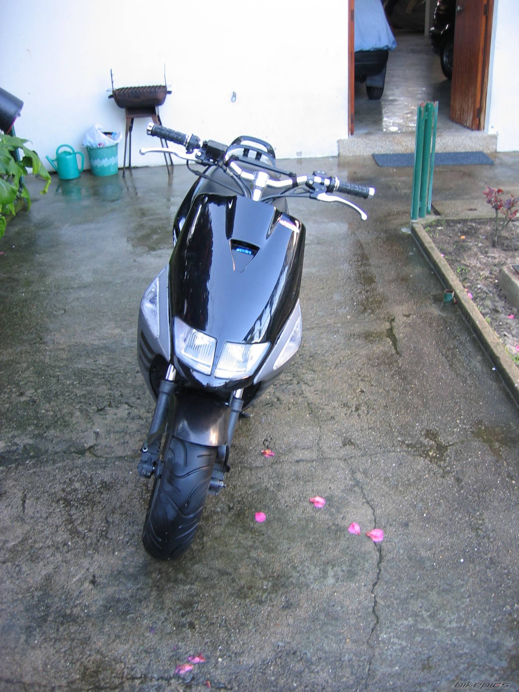 Bike Photo 304439