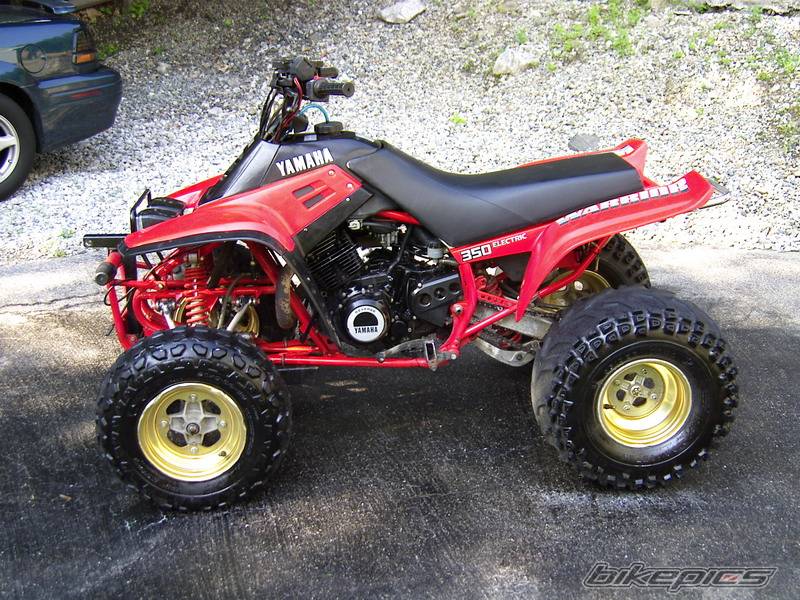 Bike Photo 304474