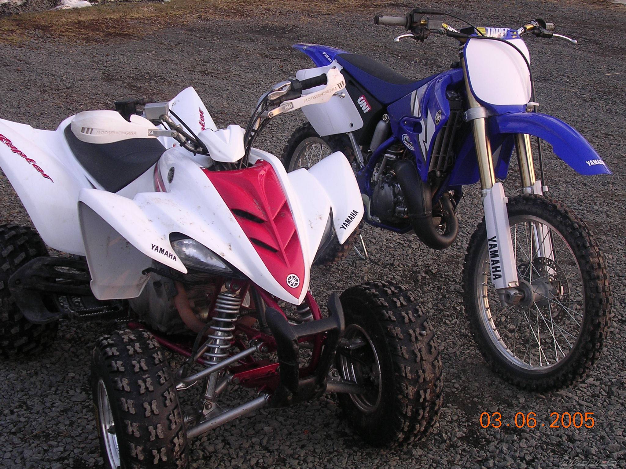 Photo 304502