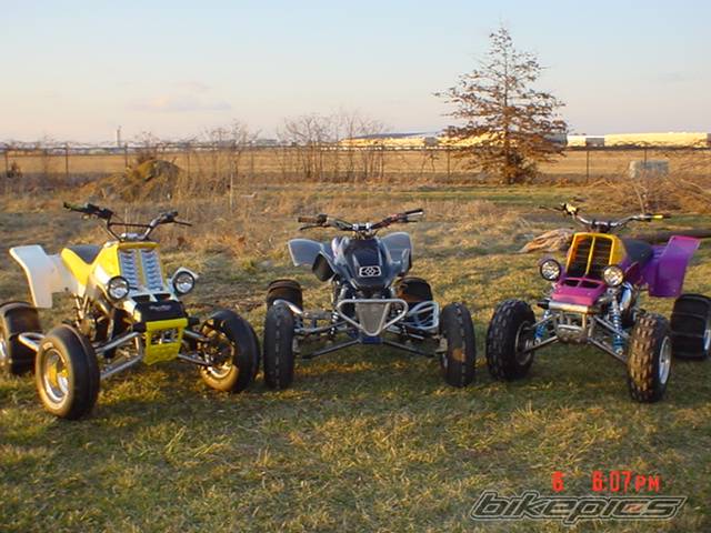 Photo 304529