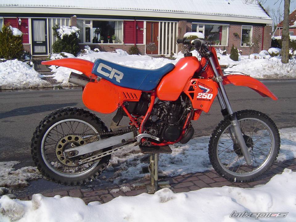 Bike Photo 304536