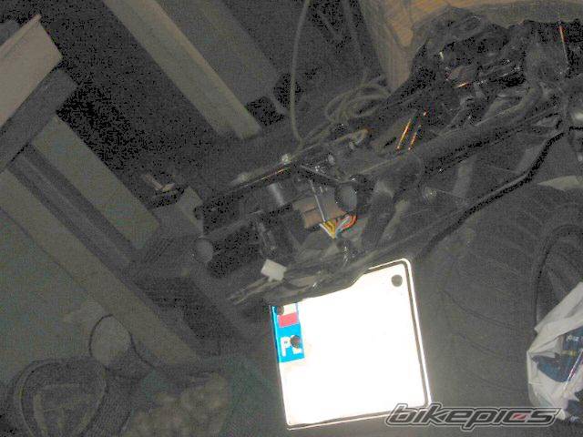 Photo 304544