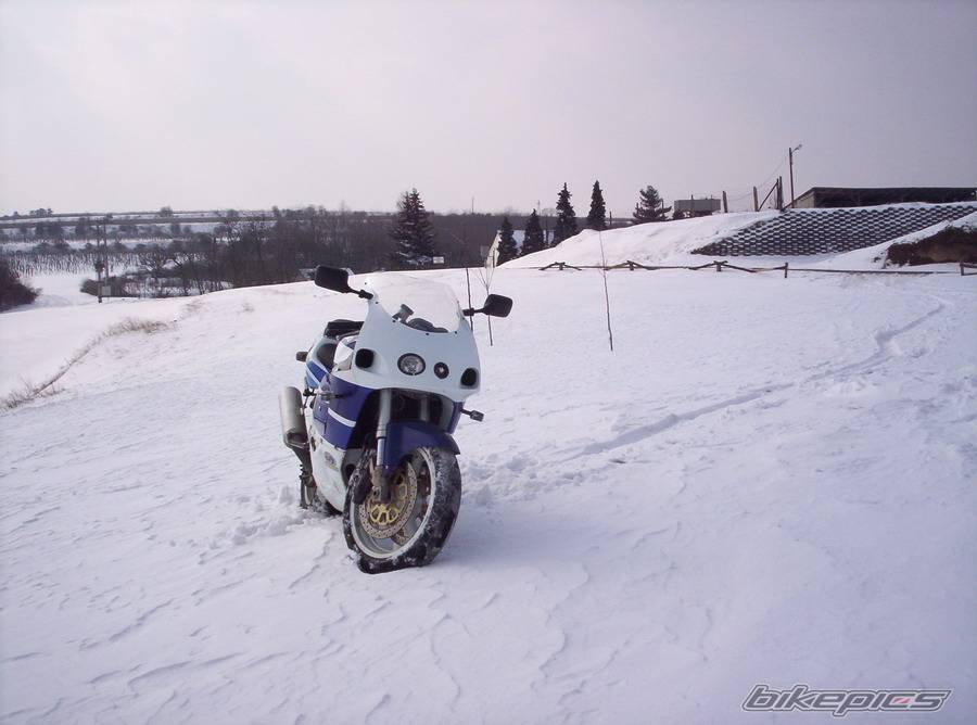 Photo 304587