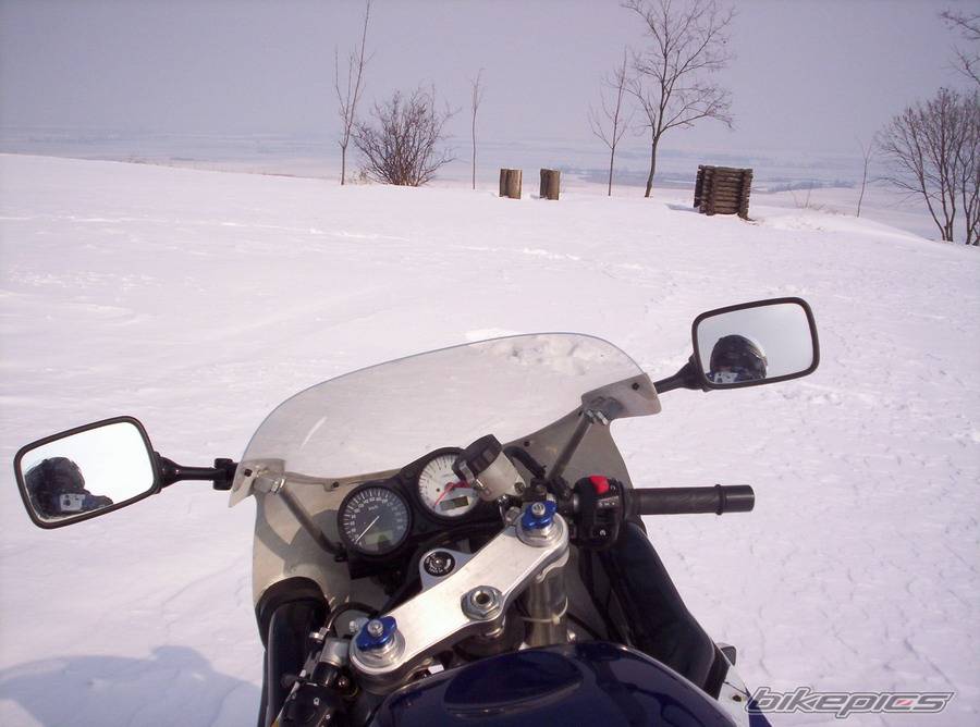 Photo 304591