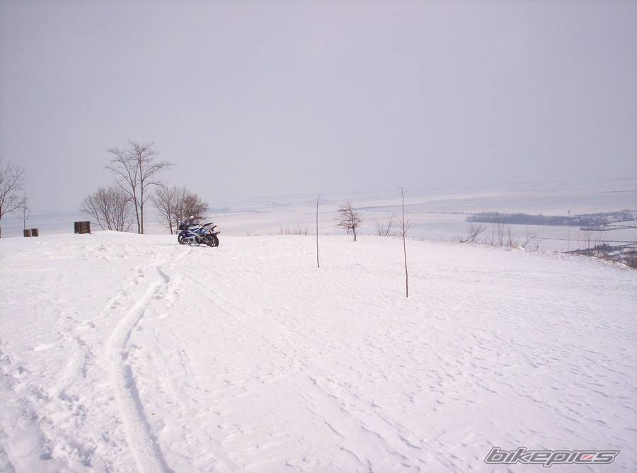 Photo 304592
