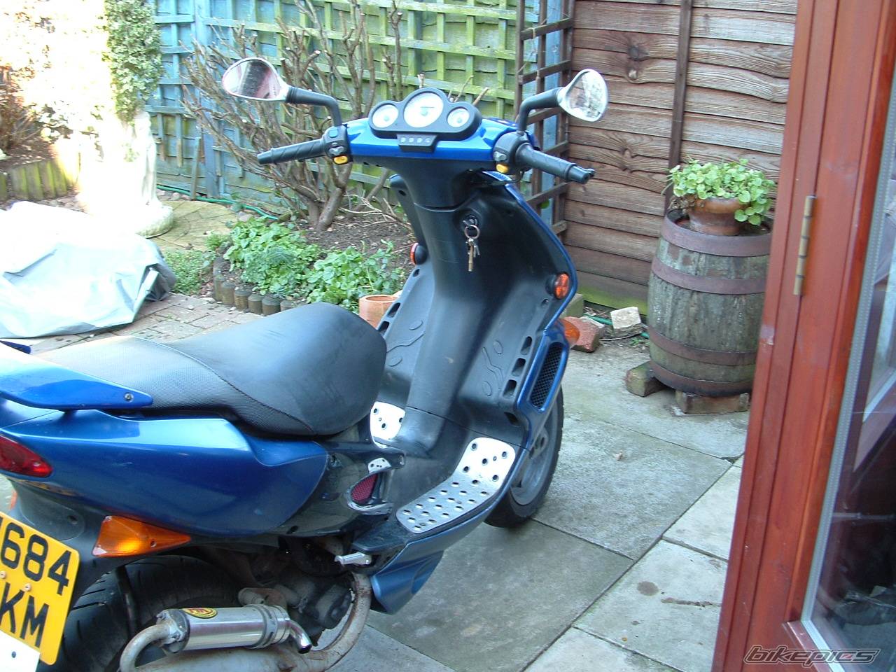 Photo 304732