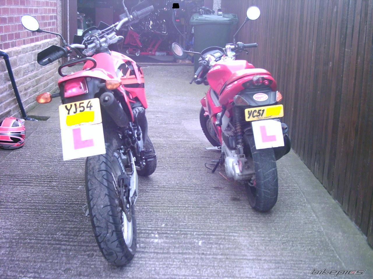 Photo 304755