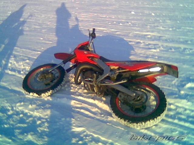 Photo 304764