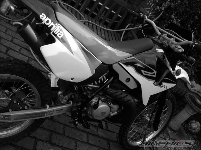 Photo 304771