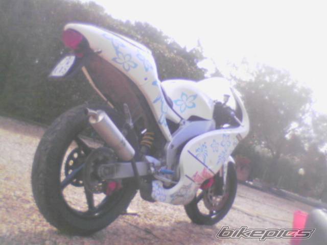 Bike Photo 304775