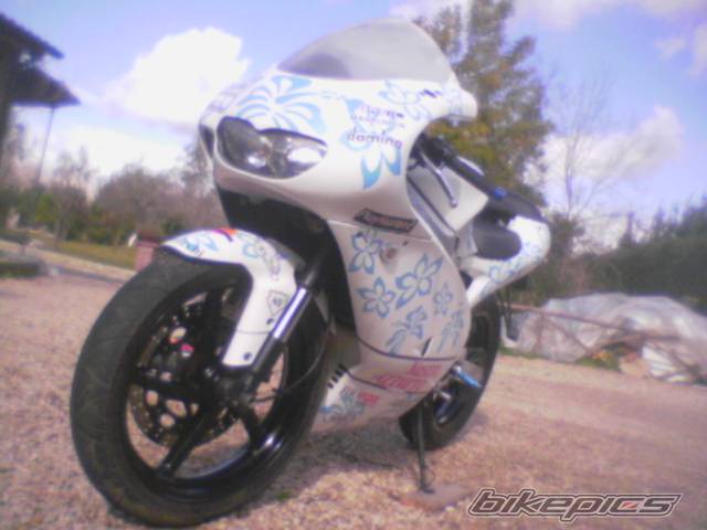Bike Photo 304776