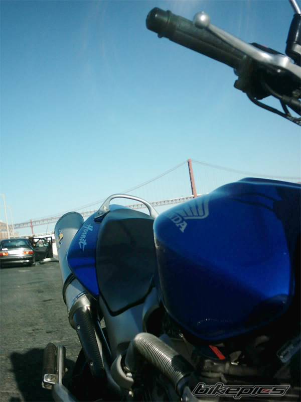 Photo 304803