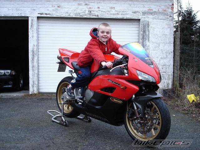 Bike Photo 304834