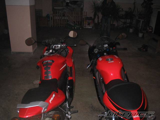 Photo 304877