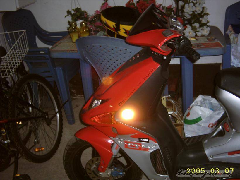 Photo 304895