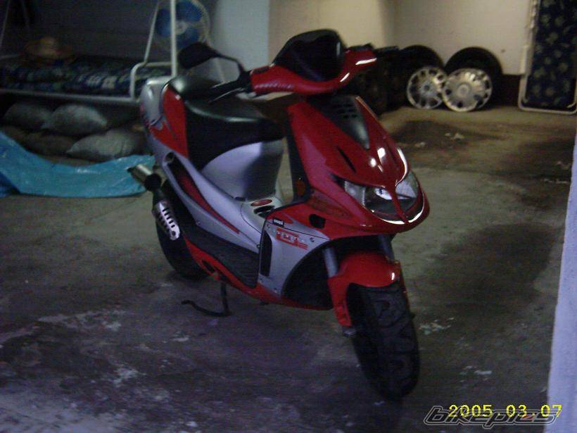 Photo 304903