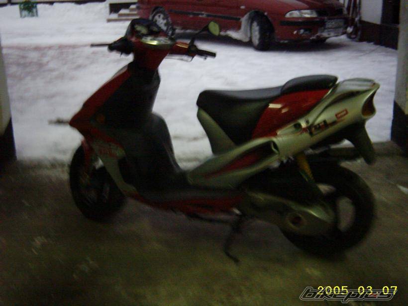 Photo 304907