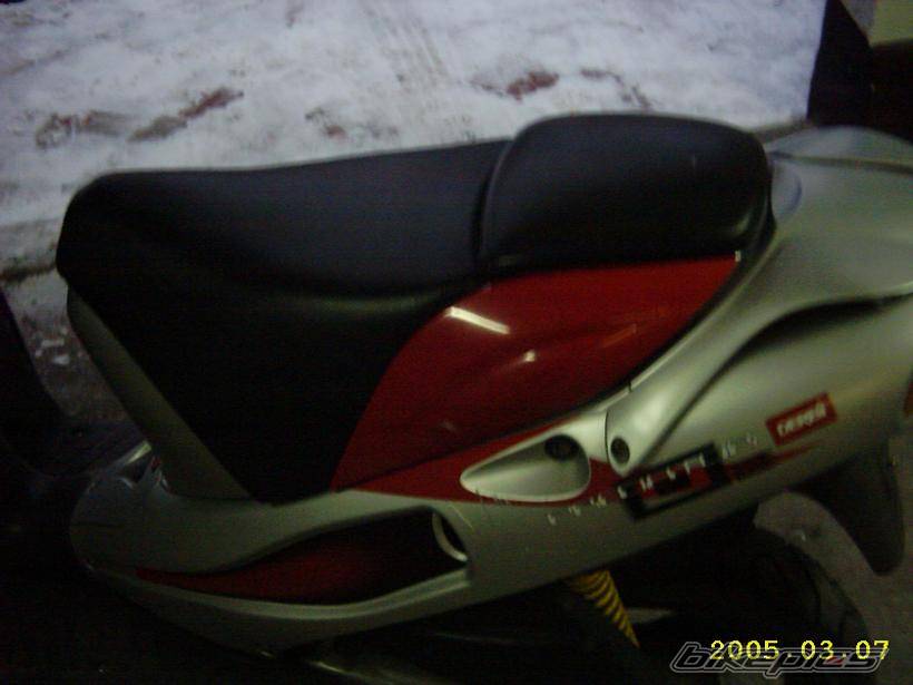 Photo 304908