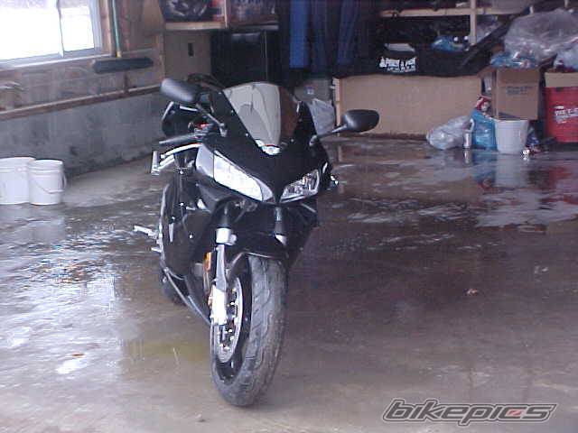 Photo 305008