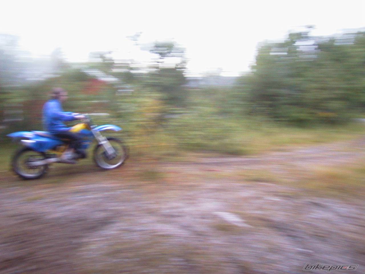 Photo 30519