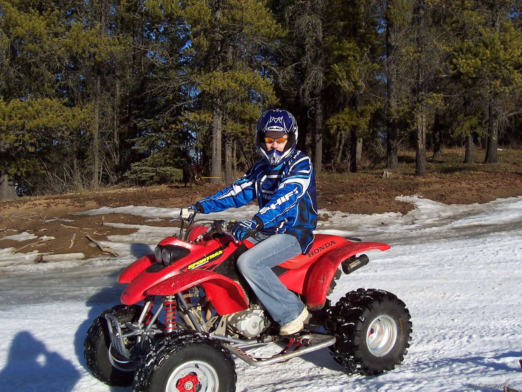 Bike Photo 305198