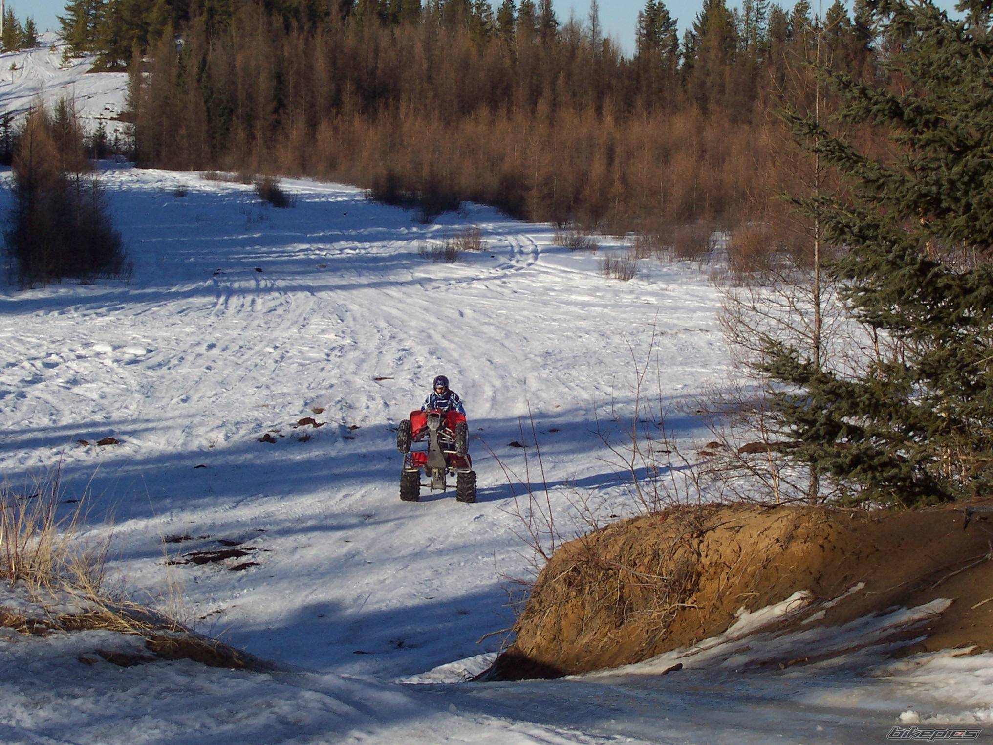 Bike Photo 305199