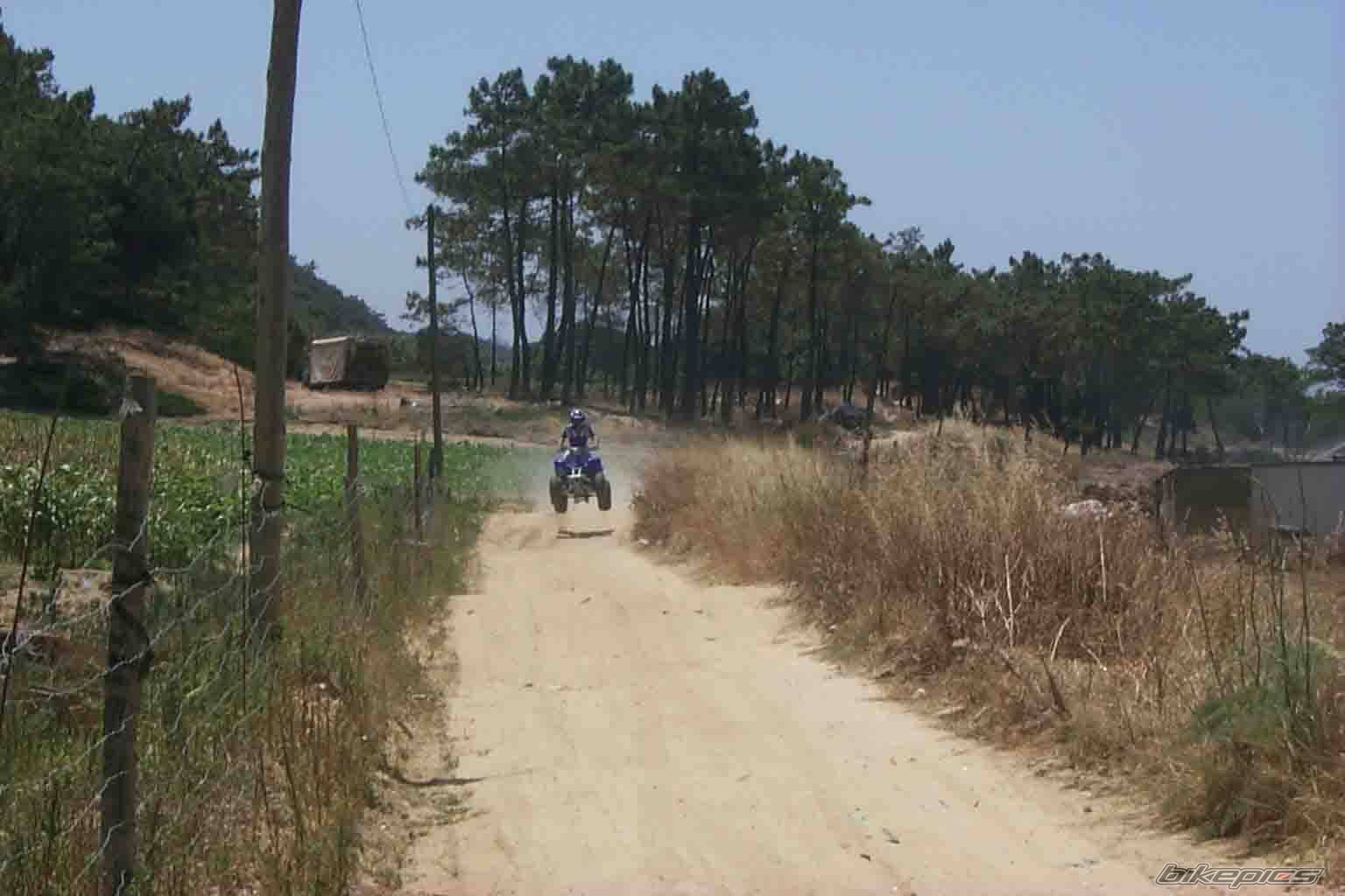 Bike Photo 30531