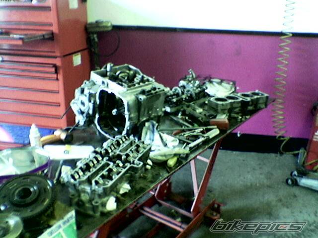 Photo 305366
