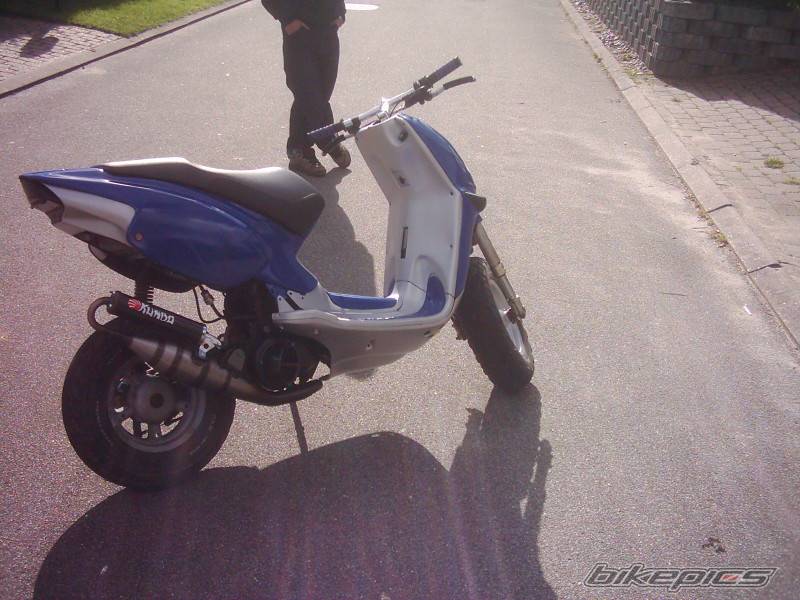 Photo 305400