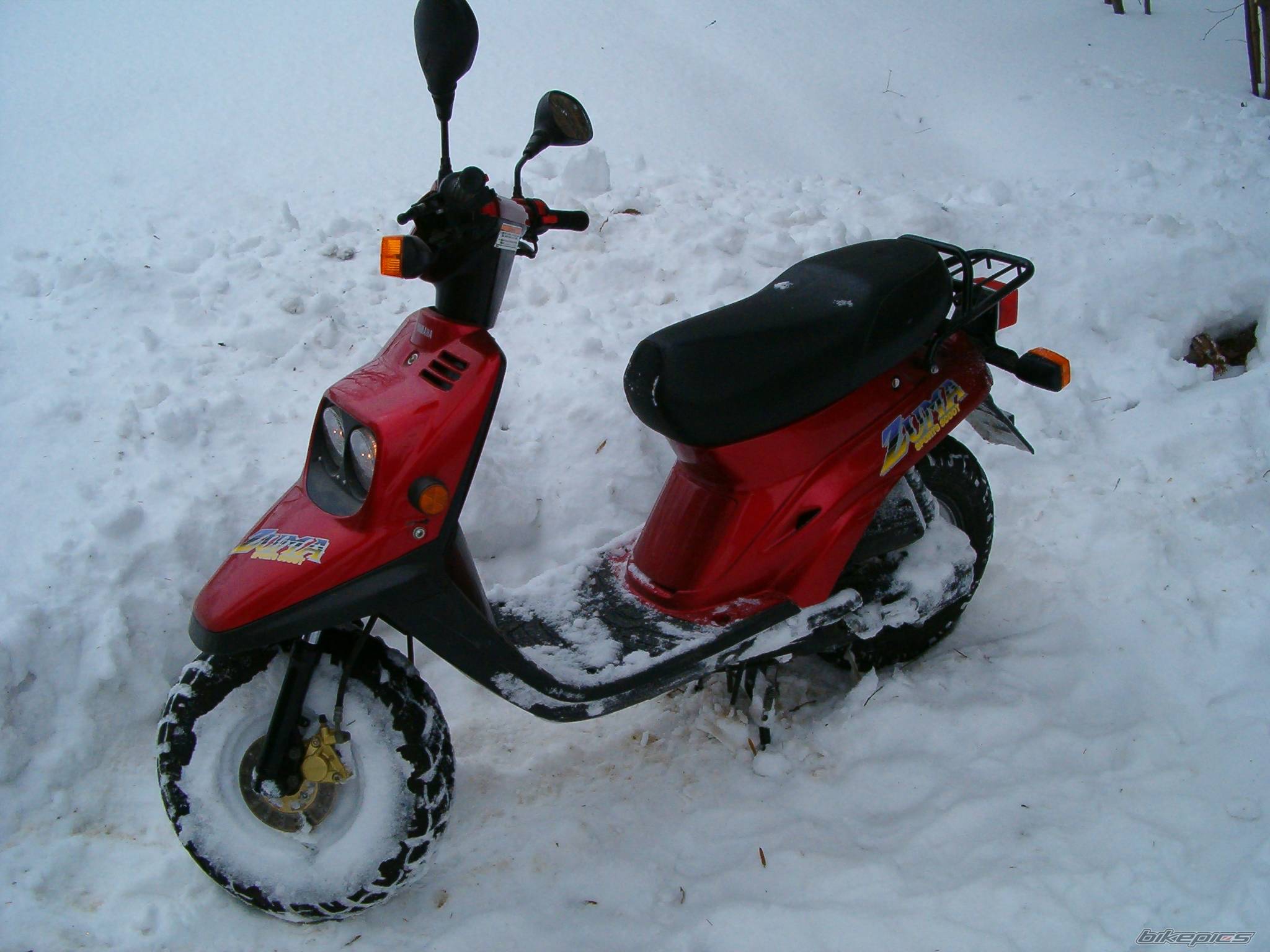 Photo 305511