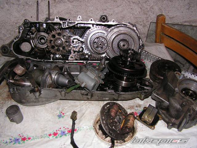 Photo 305562