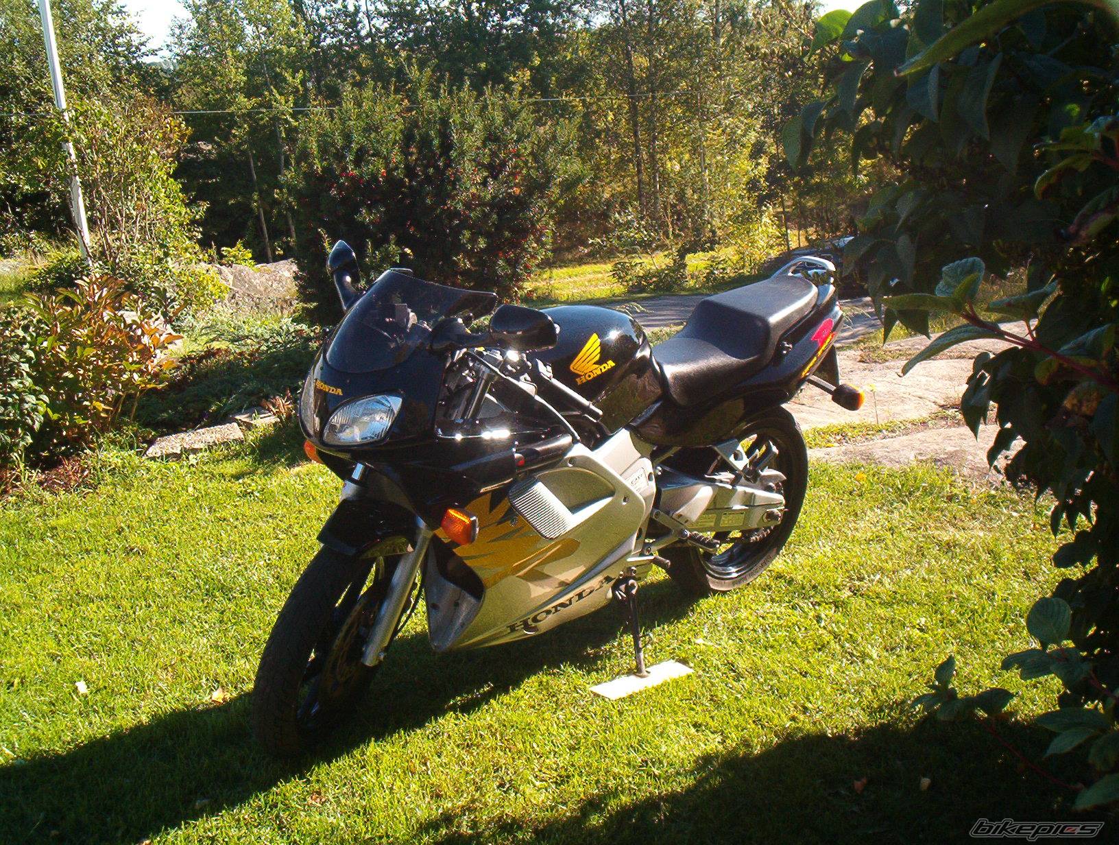 Photo 305655