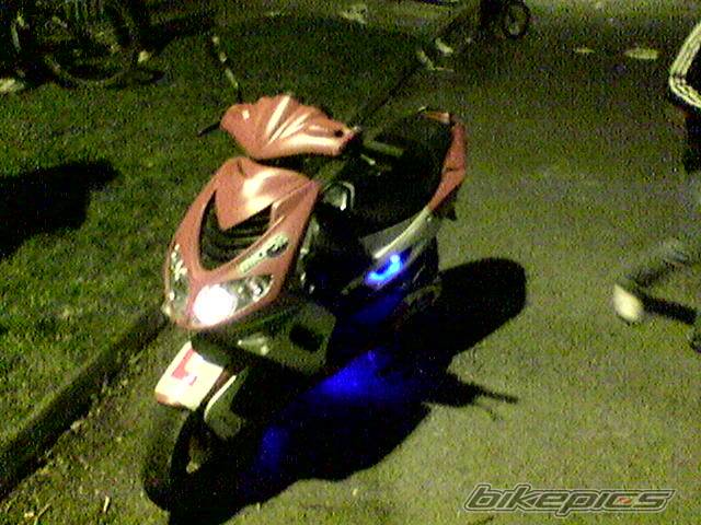 Photo 305666