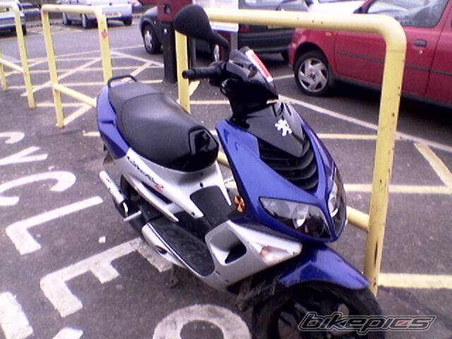 Photo 305667