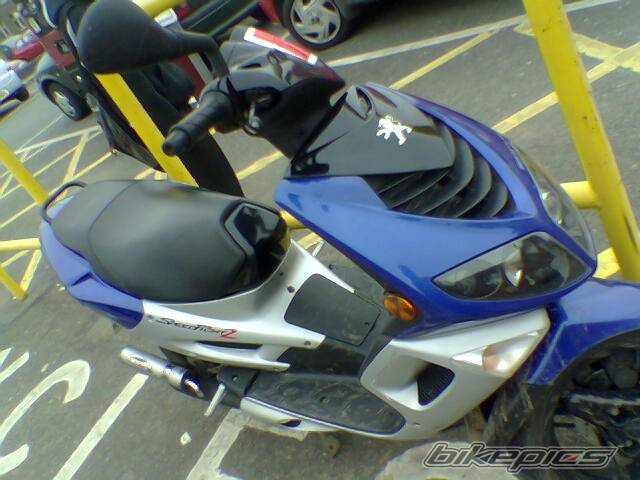 Photo 305668