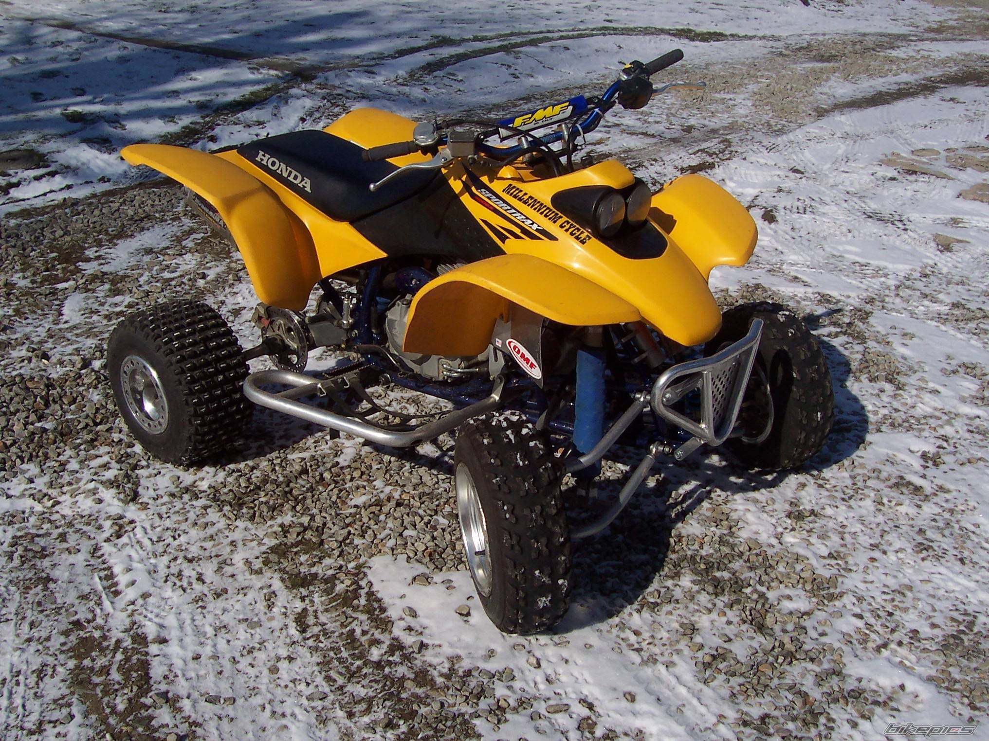 Photo 305732
