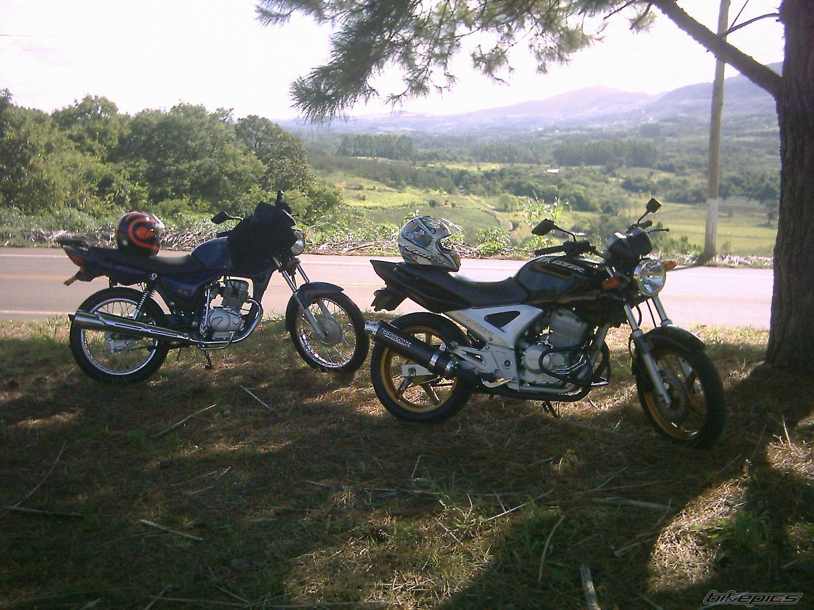 Bike Photo 305743
