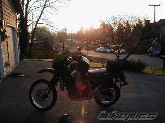 Photo 305801