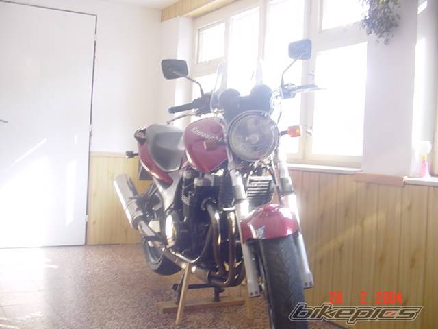 Photo 305831