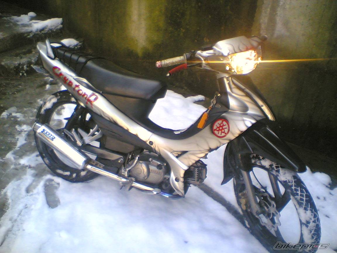 Photo 305927
