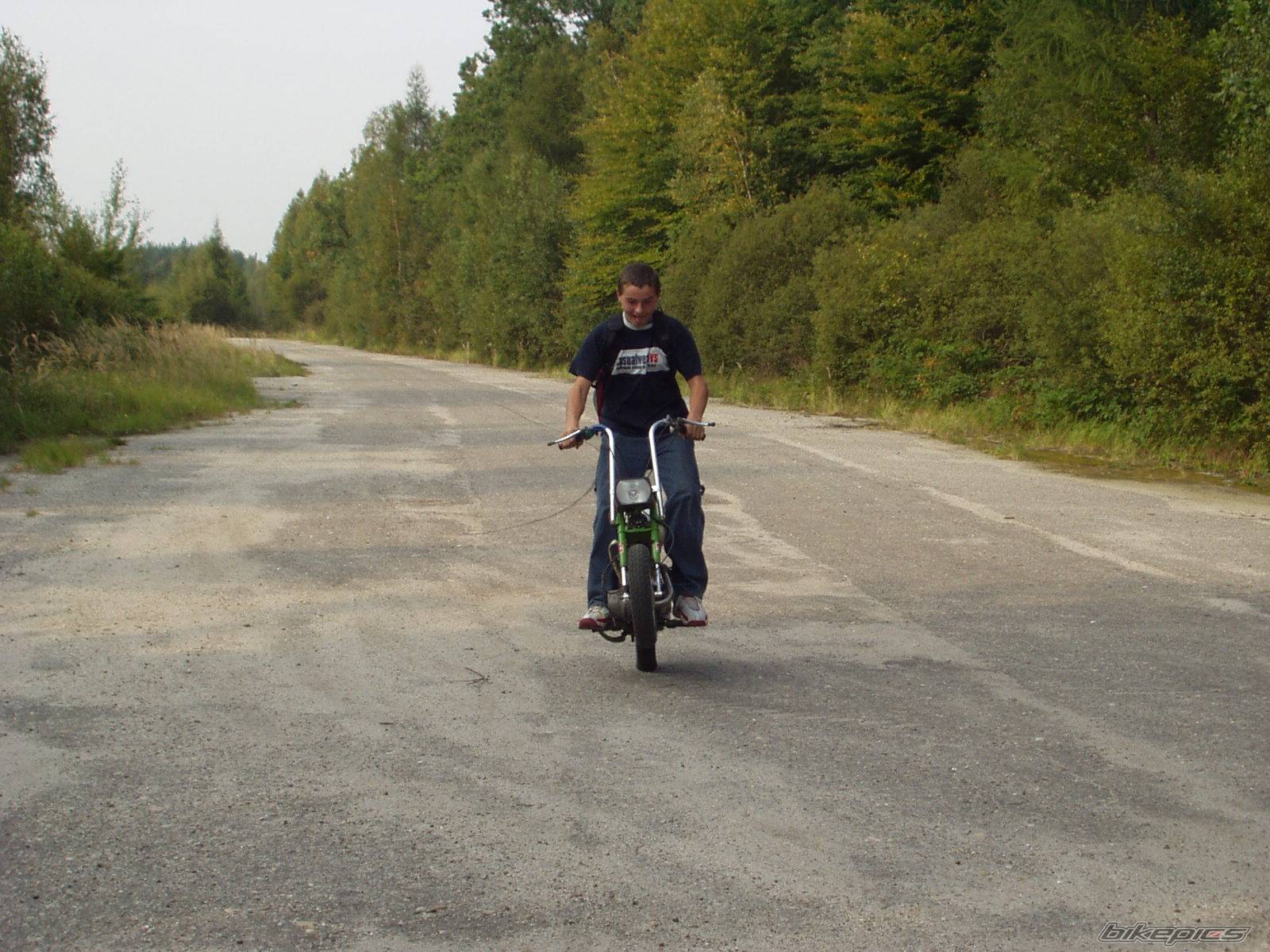 Photo 306151