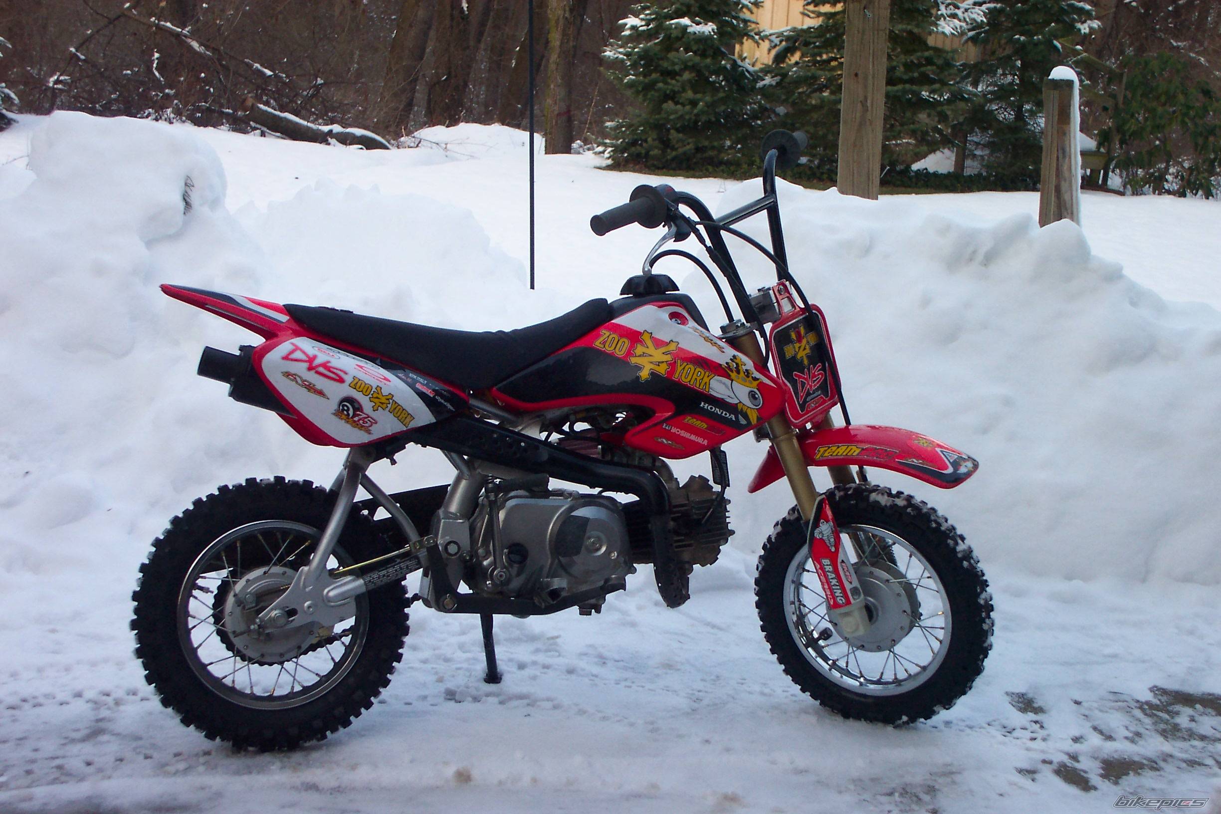 Photo 306199