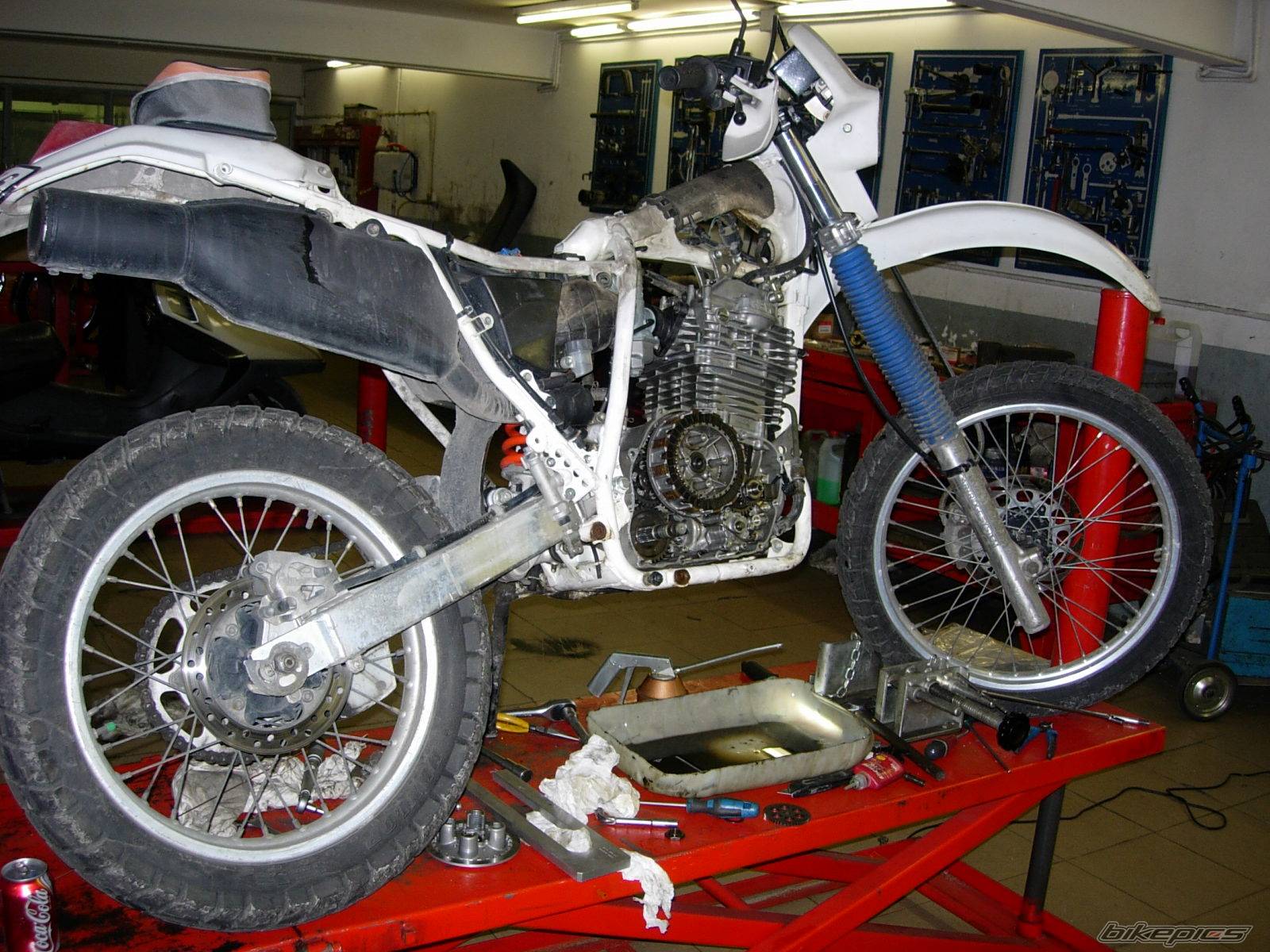 Bike Photo 306255