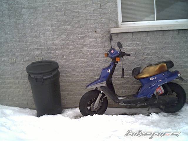 Photo 306284