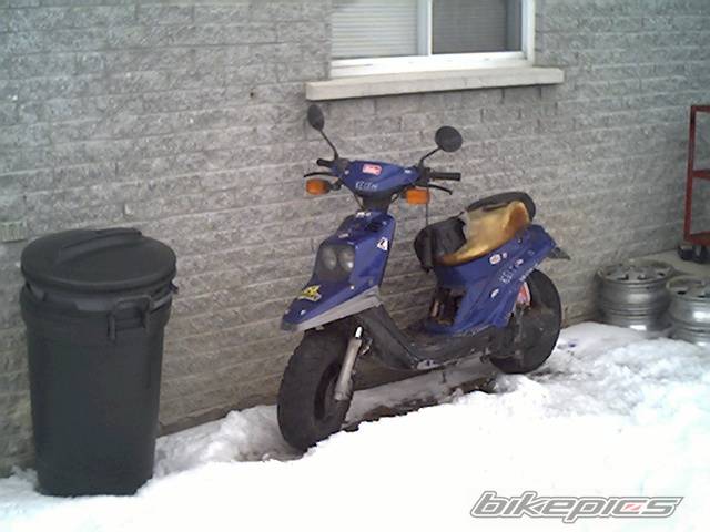 Photo 306285