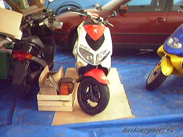 Bike Photo 306491