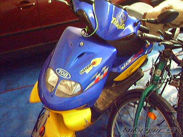 Photo 306509